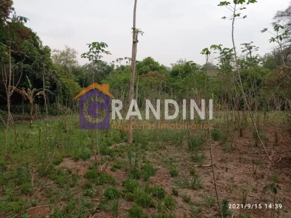 Terreno, 5000 m² - Foto 6