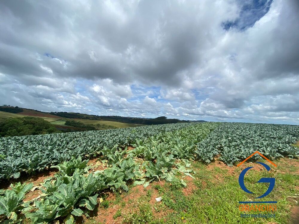 Fazenda à venda com 3 quartos - Foto 1