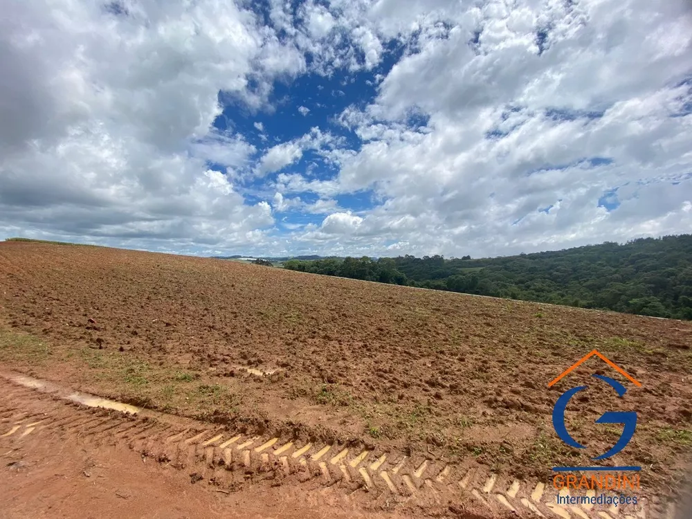 Fazenda à venda com 3 quartos - Foto 5