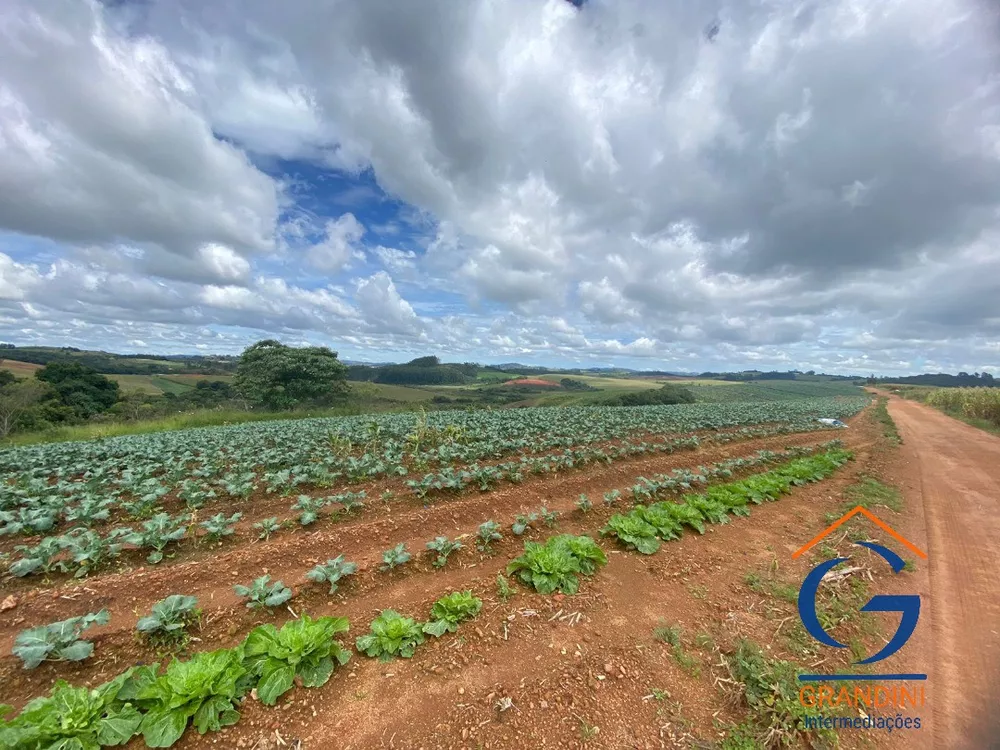 Fazenda à venda com 3 quartos - Foto 7