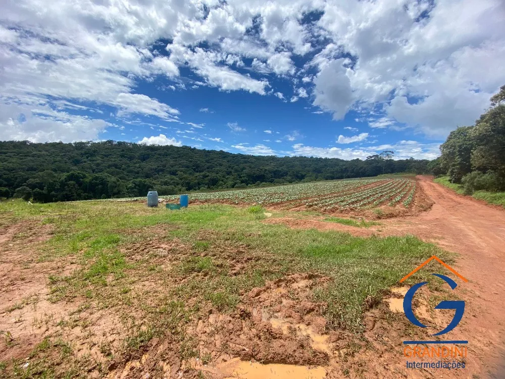 Fazenda à venda com 3 quartos - Foto 6