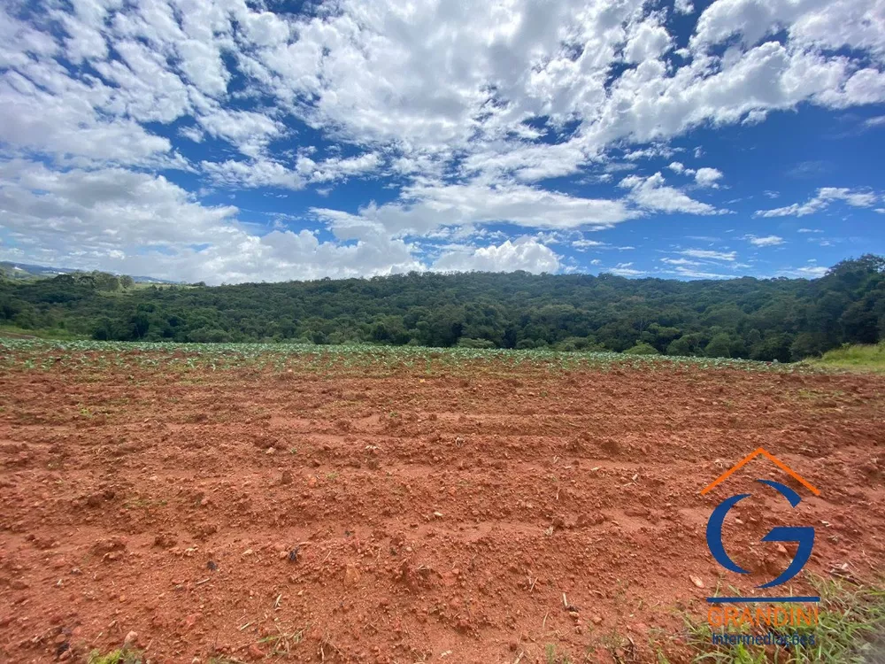 Fazenda à venda com 3 quartos - Foto 8