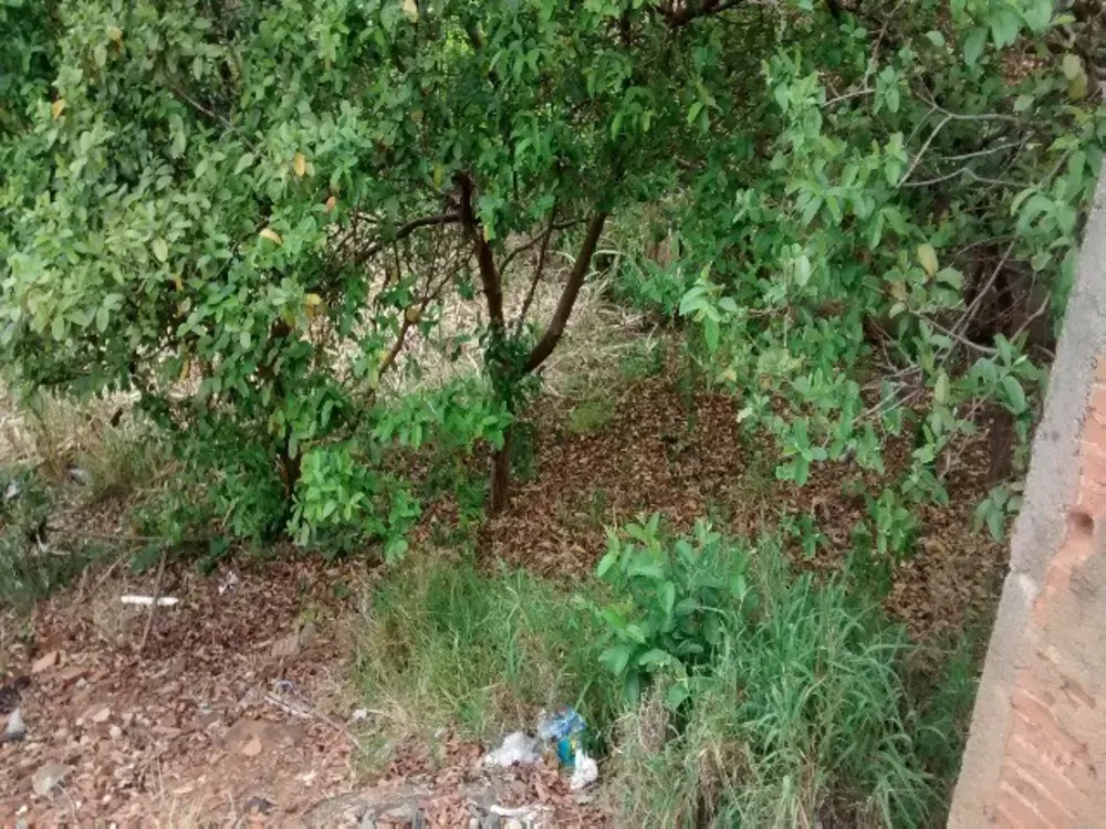 Terreno, 280 m² - Foto 3