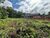 Terreno, 300 m² - Foto 4