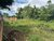 Terreno, 300 m² - Foto 2