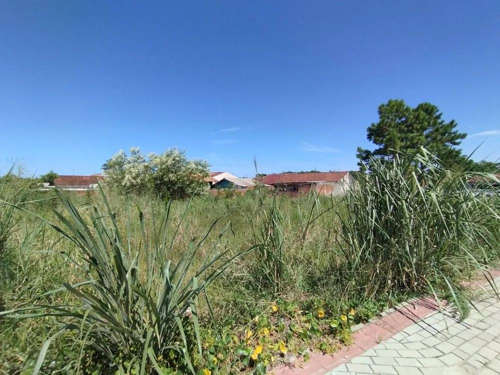 Terreno, 543 m² - Foto 2