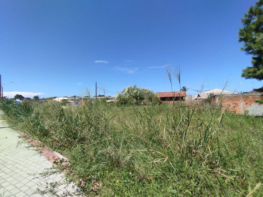 Terreno, 543 m² - Foto 6