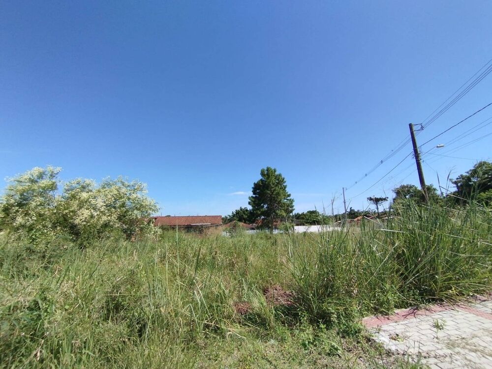 Terreno, 543 m² - Foto 5