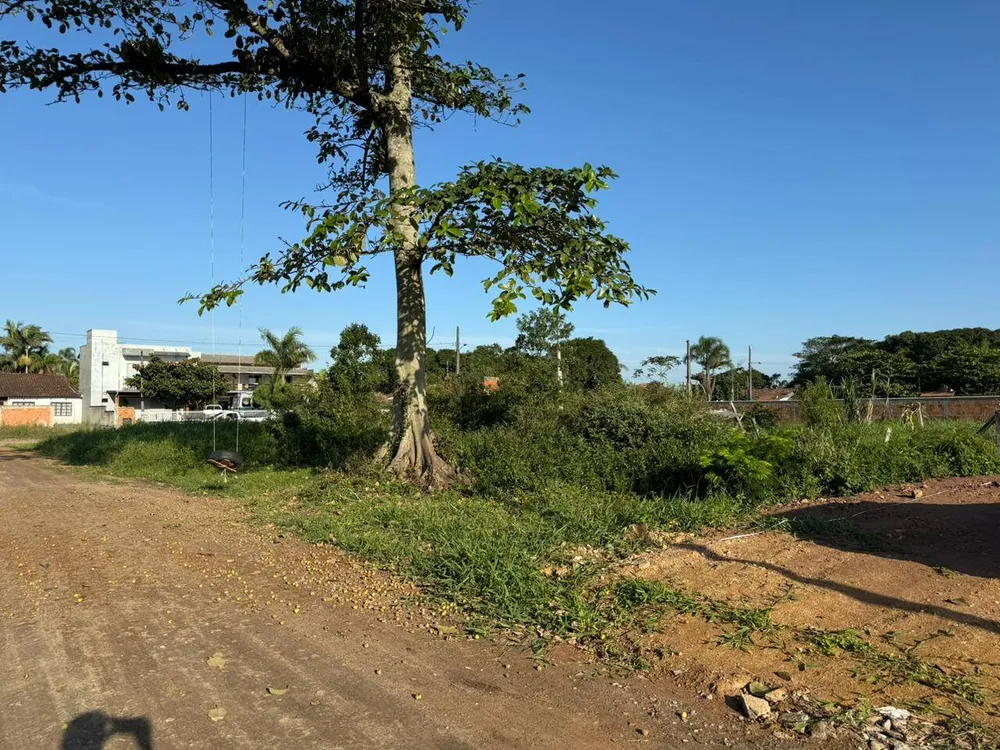 Terreno, 442 m² - Foto 6