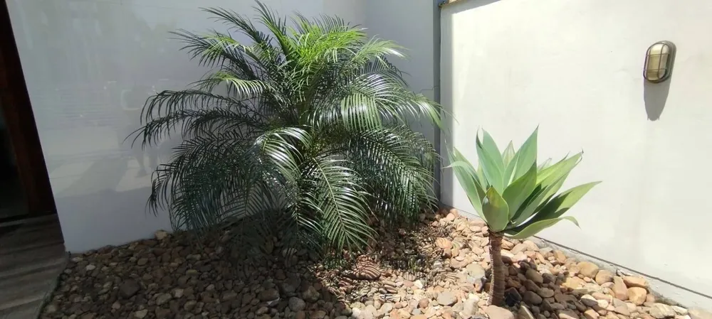 Casa, 3 quartos, 80 m² - Foto 11