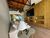 Casa, 3 quartos, 177 m² - Foto 5