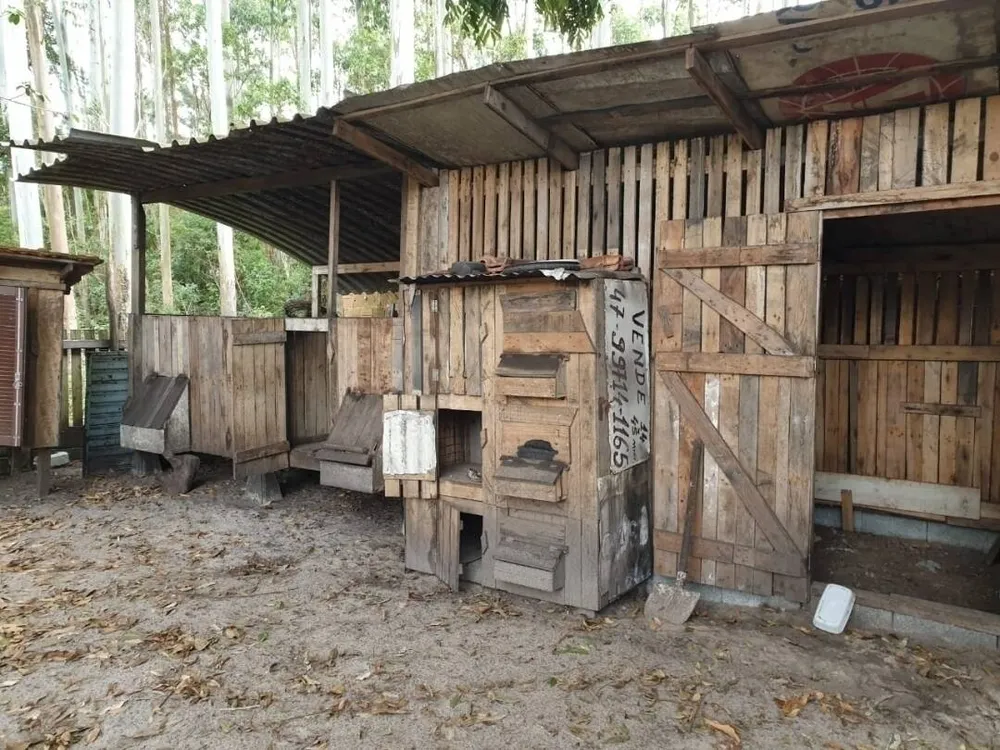 Chácara, 3 quartos, 543 m² - Foto 15