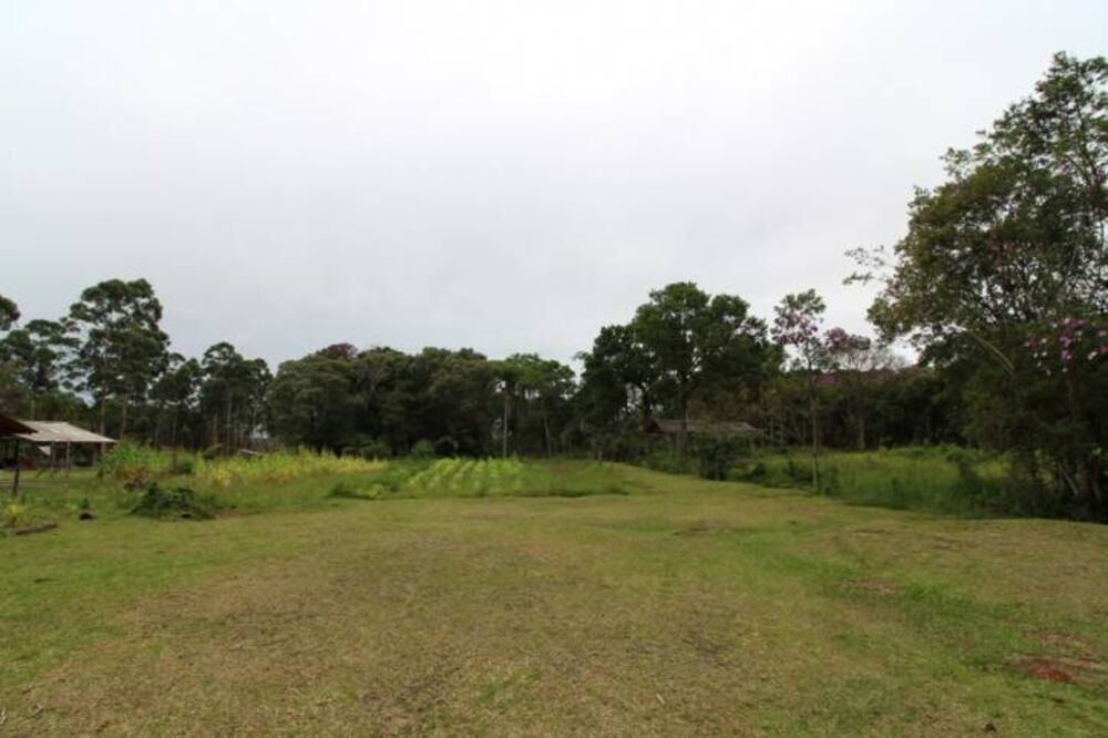 Chácara, 2 quartos, 9950 m² - Foto 3