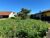 Terreno, 364 m² - Foto 3