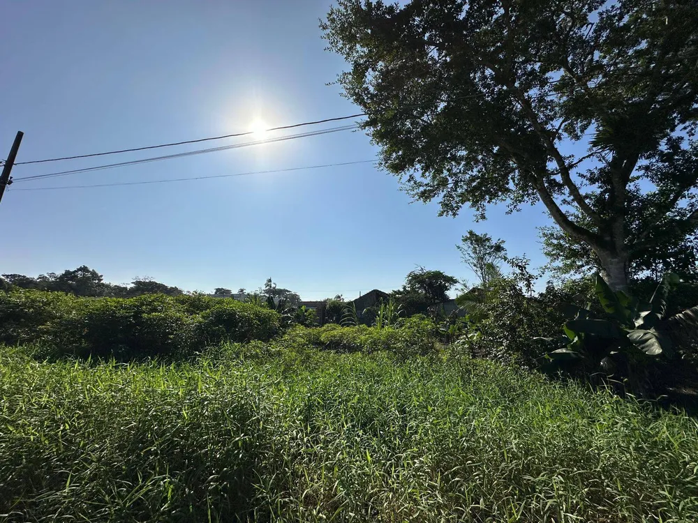 Terreno, 300 m² - Foto 3