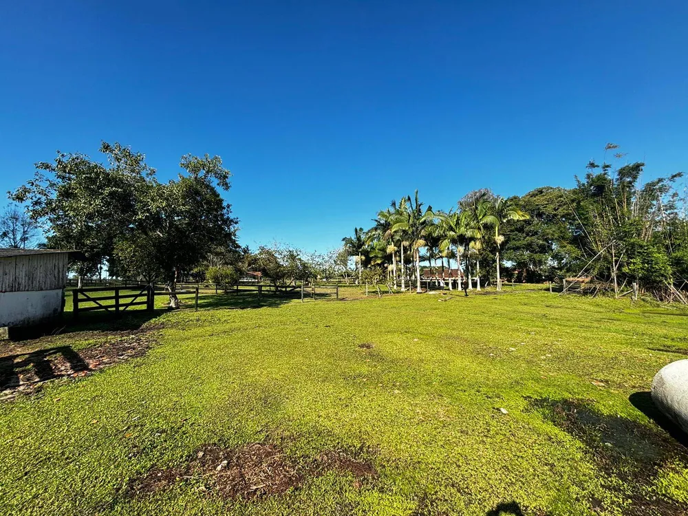 Chácara, 4 quartos, 3 hectares - Foto 11