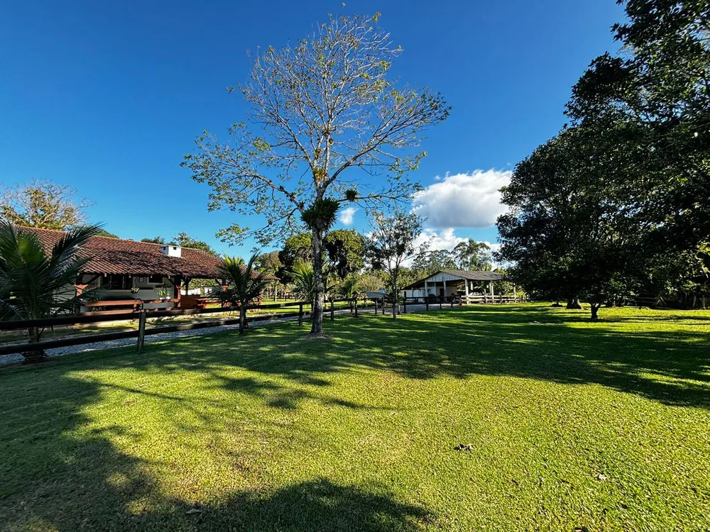 Chácara, 4 quartos, 3 hectares - Foto 8