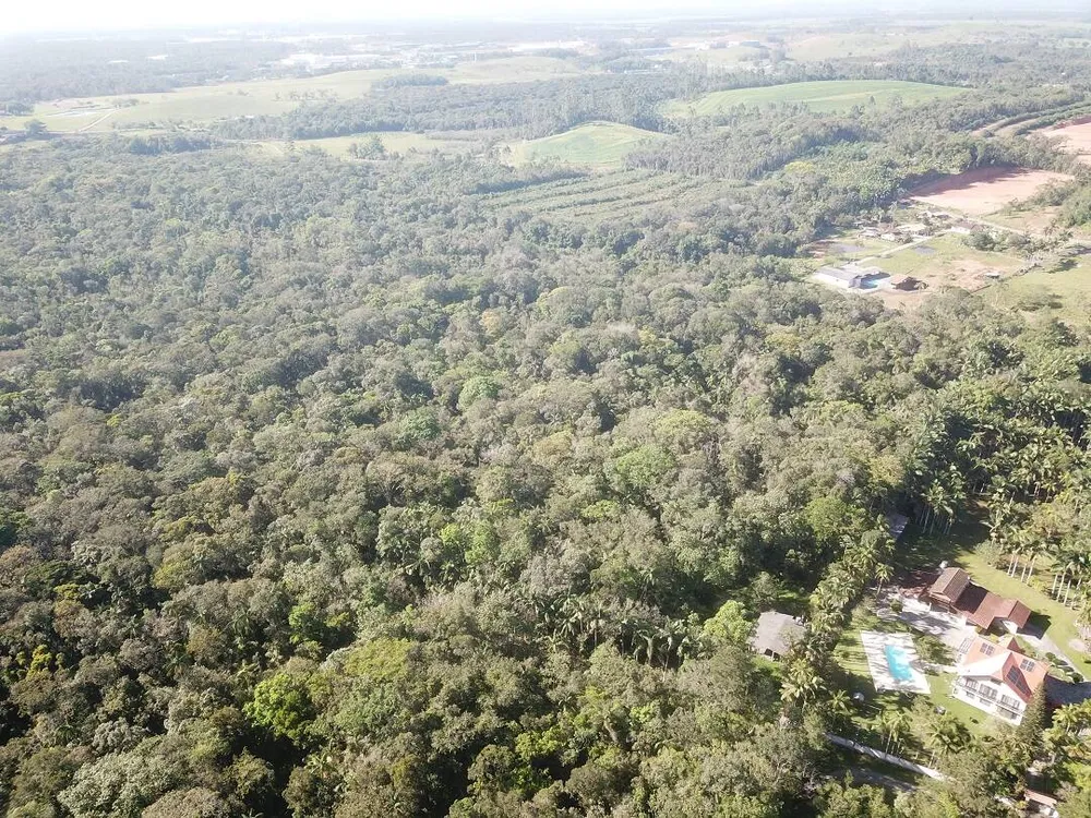 Terreno, 2 hectares - Foto 4