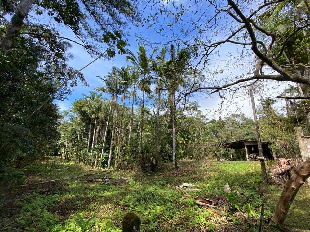 Terreno, 2 hectares - Foto 7