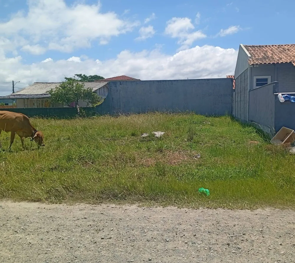 Terreno, 360 m² - Foto 5