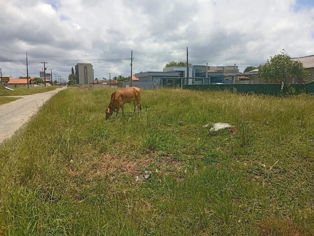 Terreno, 360 m² - Foto 4