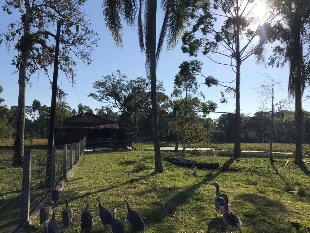 Terreno, 3 hectares - Foto 10