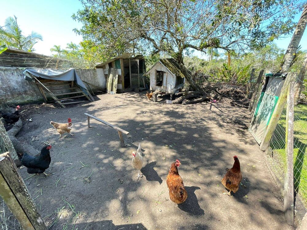 Casa à venda com 4 quartos, 150m² - Foto 3