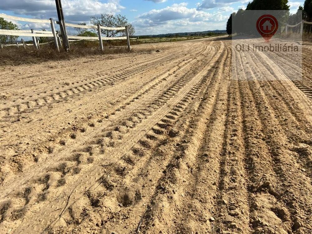 Fazenda - Foto 5