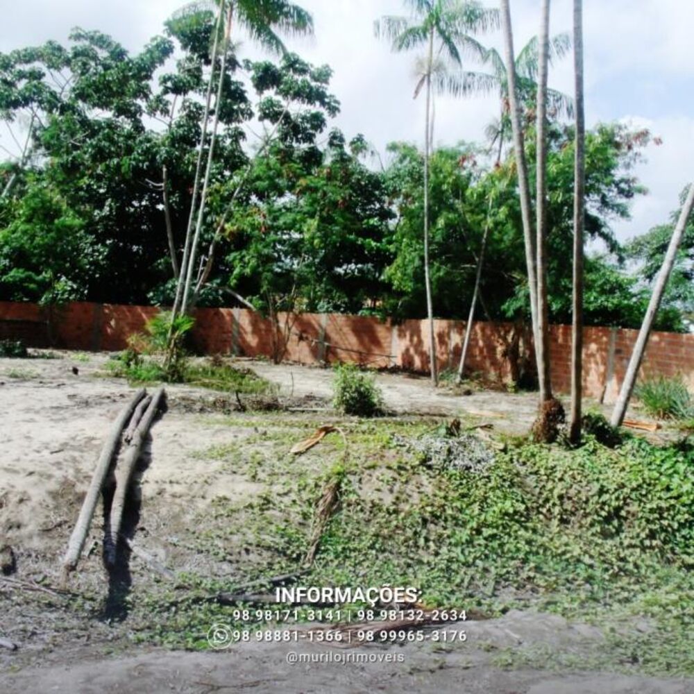 Chácara à venda, 3600m² - Foto 7