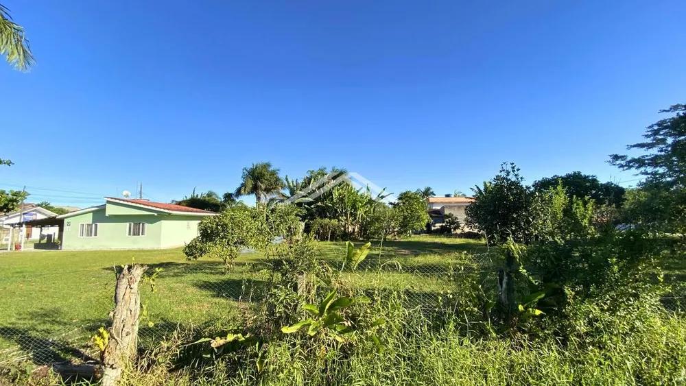 Terreno - Foto 4