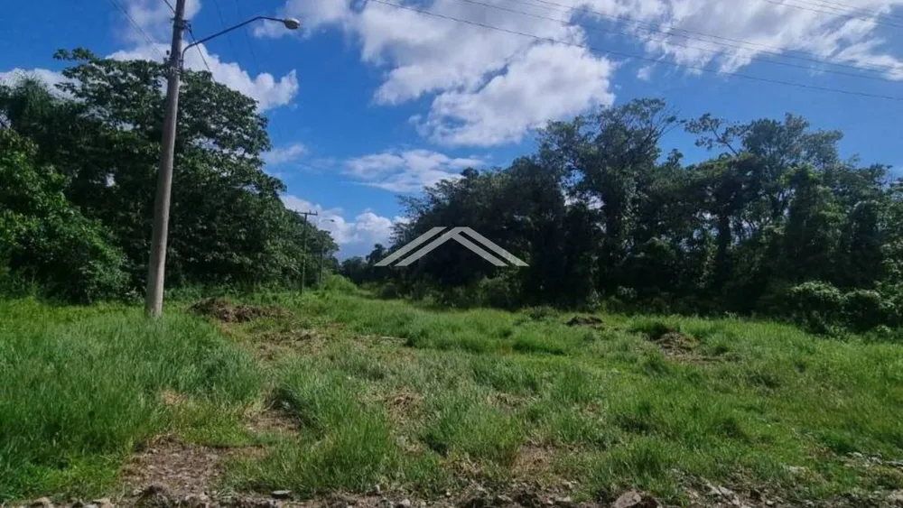 Terreno, 360 m² - Foto 1