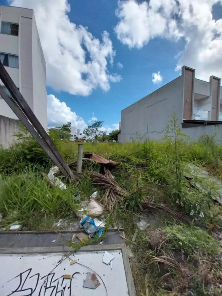 Terreno à venda, 300m² - Foto 4