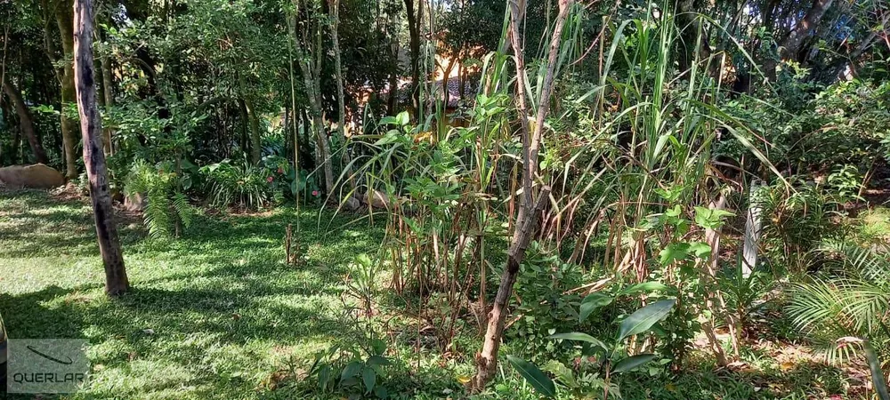 Terreno, 1600 m² - Foto 7
