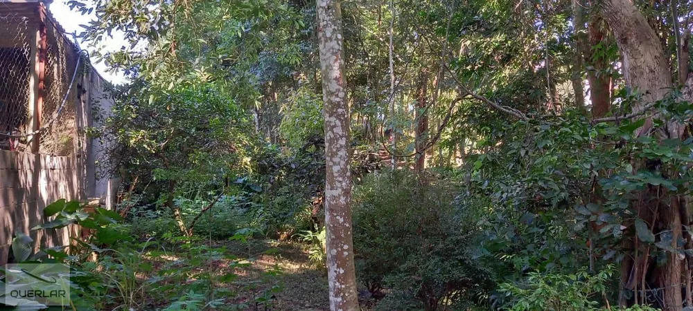 Terreno, 1600 m² - Foto 8