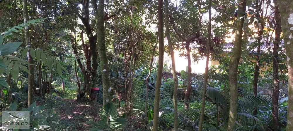 Terreno, 1600 m² - Foto 2