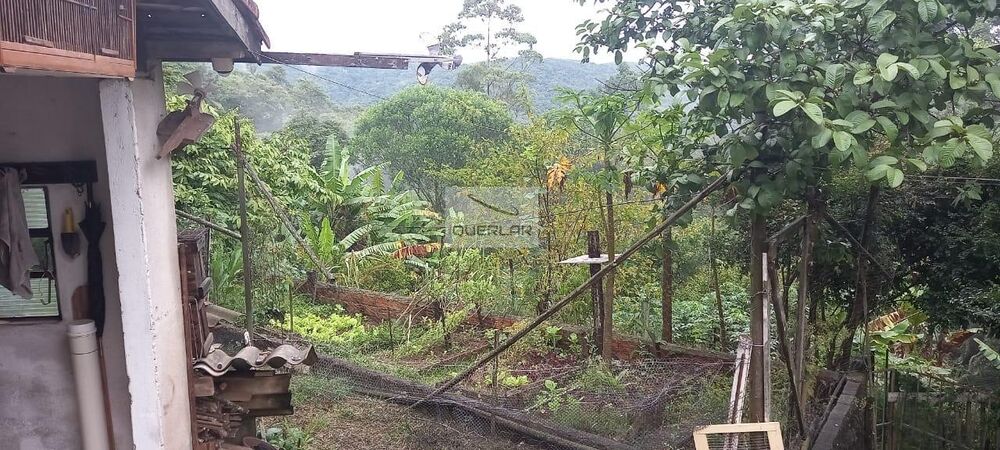 Sítio, 3 quartos, 4100 m² - Foto 6