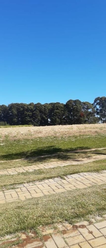 Terreno, 1000 m² - Foto 2