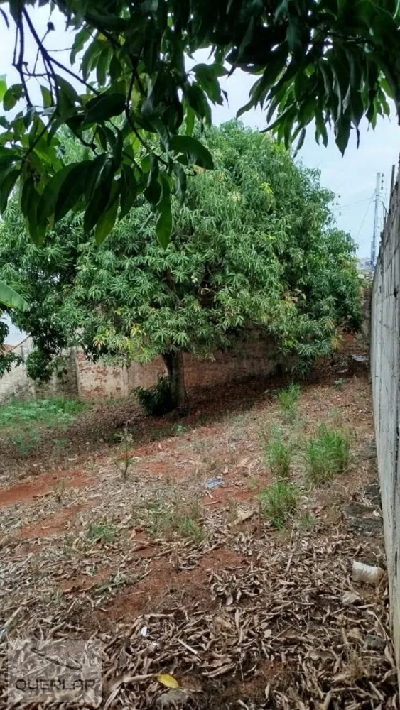 Terreno, 250 m² - Foto 1