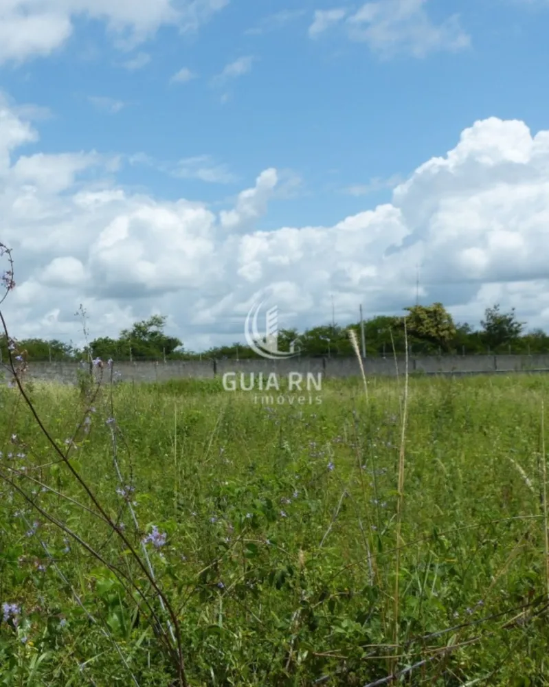 Terreno, 1756 m² - Foto 2