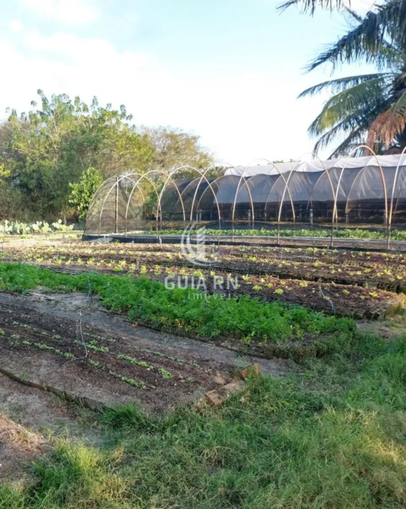 Terreno, 1756 m² - Foto 8