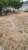 Terreno - Foto 1