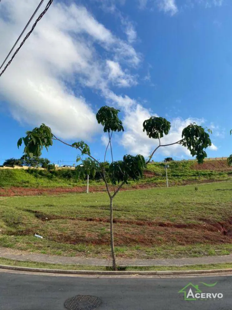 Loteamento e Condomínio, 353 m² - Foto 4