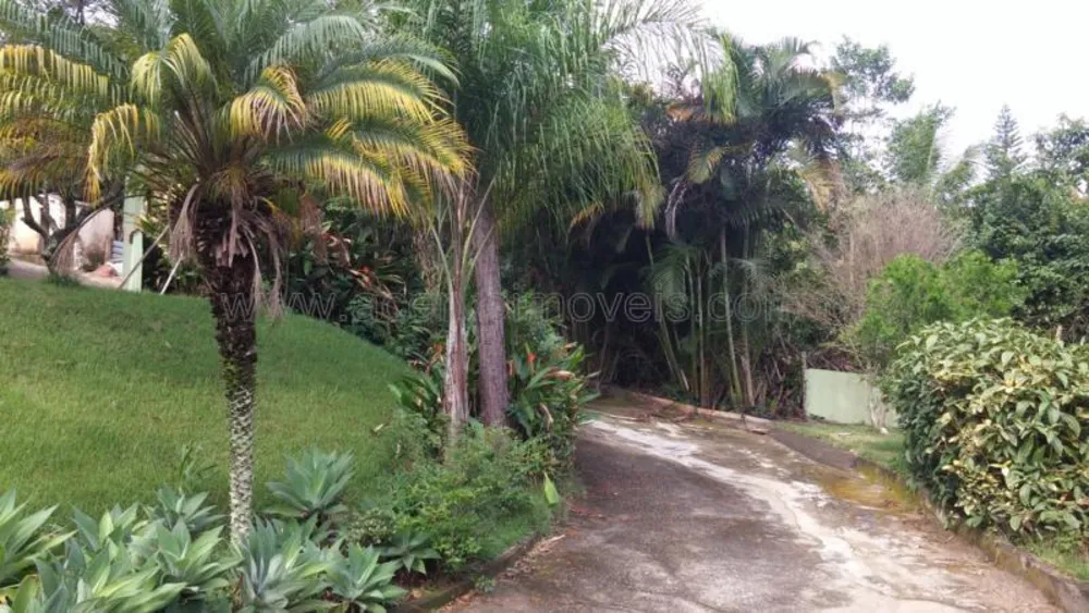 Chácara, 3 quartos, 6122 m² - Foto 2
