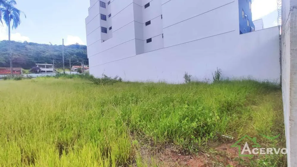 Terreno, 492 m² - Foto 3