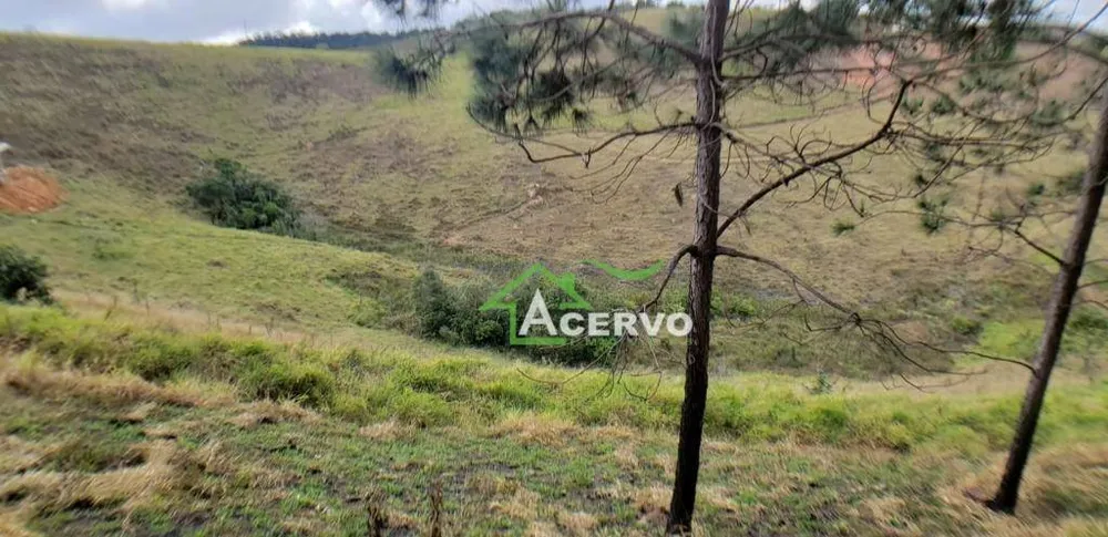 Loteamento e Condomínio, 2 hectares - Foto 4
