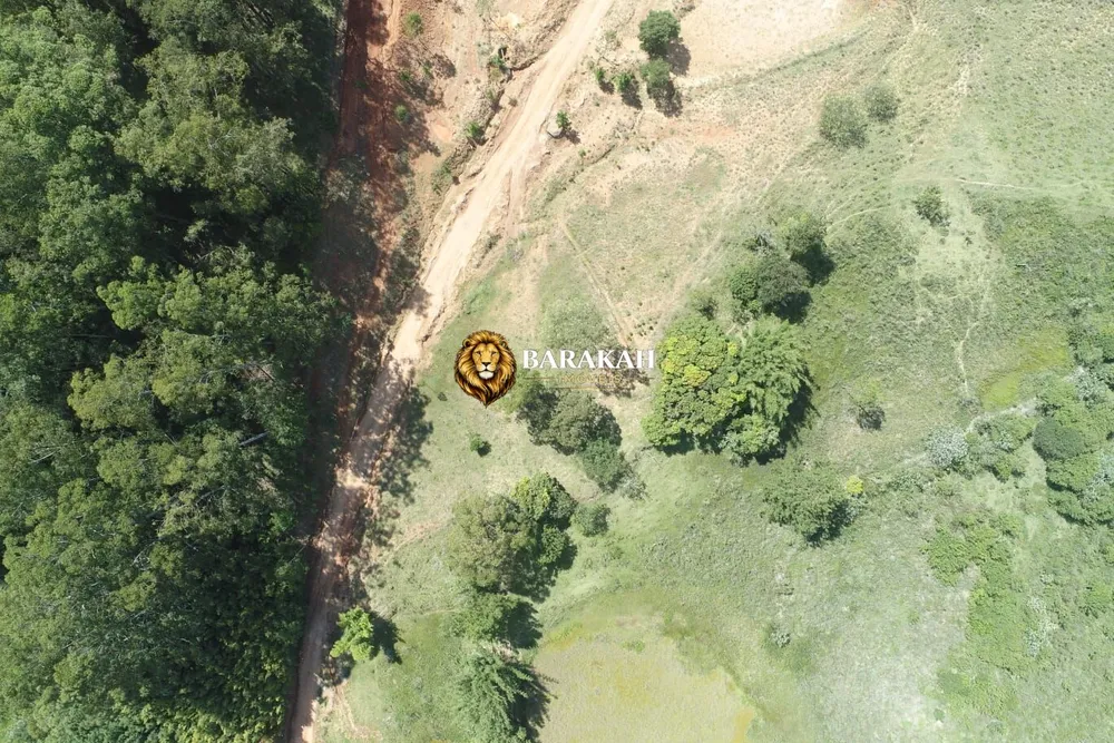 Terreno, 7185 hectares - Foto 4