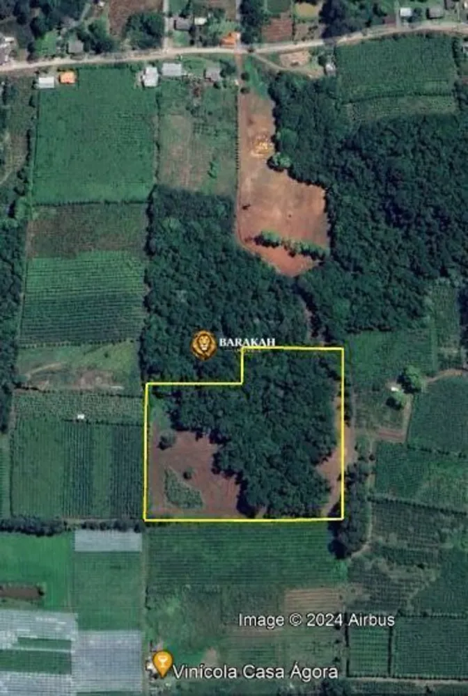 Terreno, 2 hectares - Foto 3