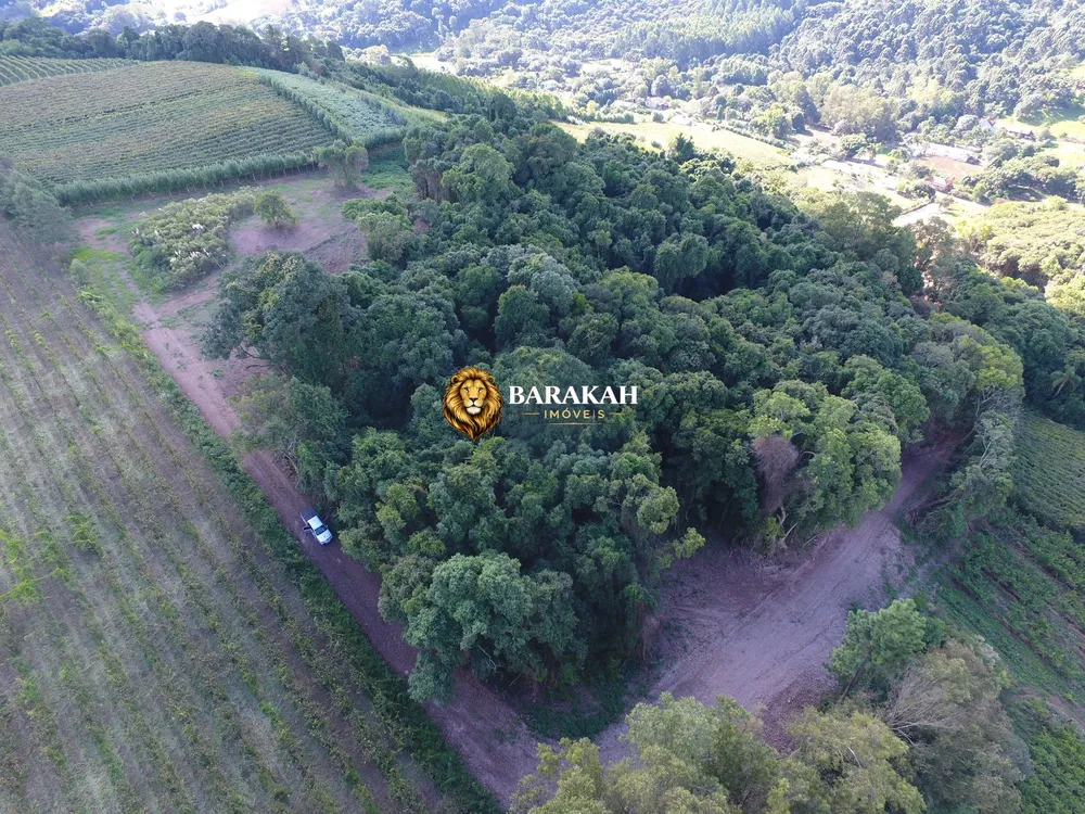 Terreno, 2 hectares - Foto 2