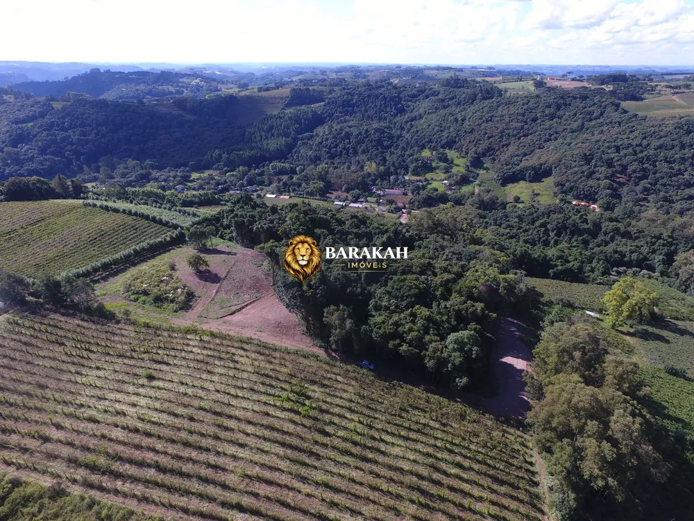 Terreno, 2 hectares - Foto 8