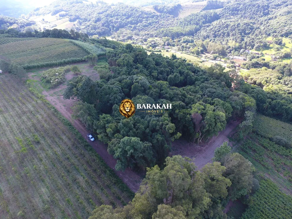 Terreno, 2 hectares - Foto 3